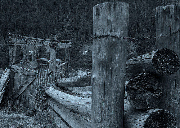Old Fence