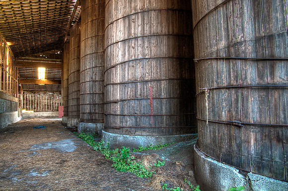 Feed Silo's